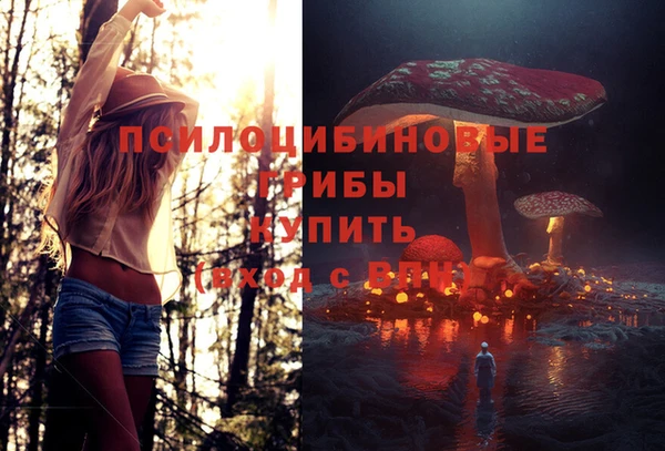соль ск Абдулино