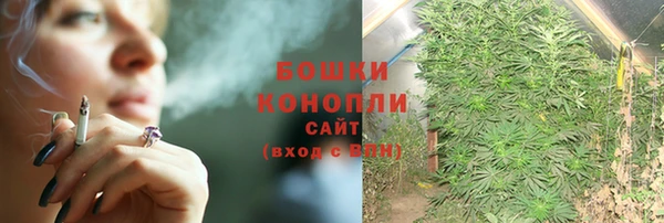 ПСИЛОЦИБИНОВЫЕ ГРИБЫ Абинск