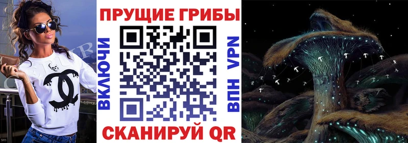 сайты даркнета как зайти  купить наркоту  Фрязино  Псилоцибиновые грибы Cubensis 
